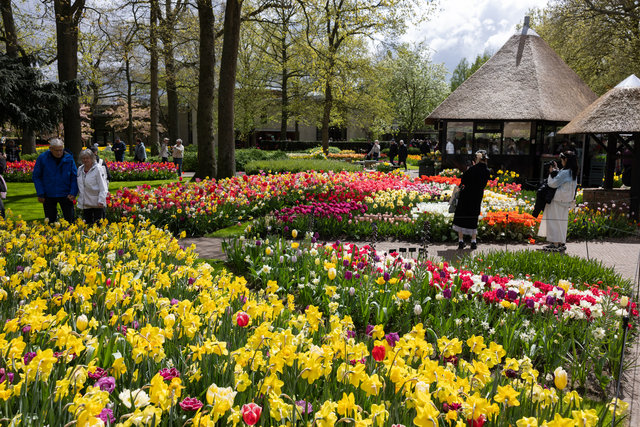 Amsterdam mama 2026-4739.jpg